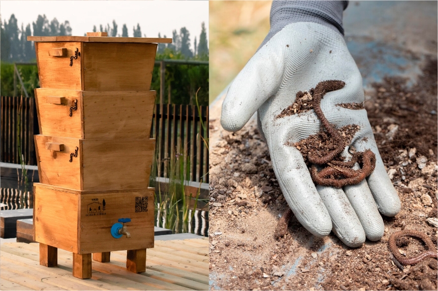 Curso Online: Vermicompost, crea humus de lombriz